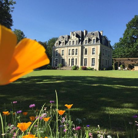 Chateau Des Essards Avec Piscine Et Jacuzzi Langeais Eksteriør bilde