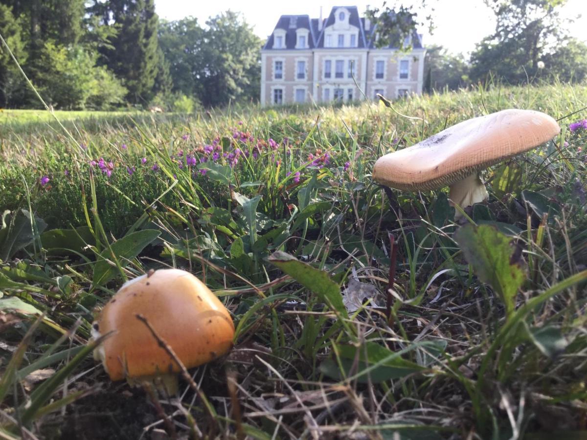 Chateau Des Essards Avec Piscine Et Jacuzzi Langeais Eksteriør bilde